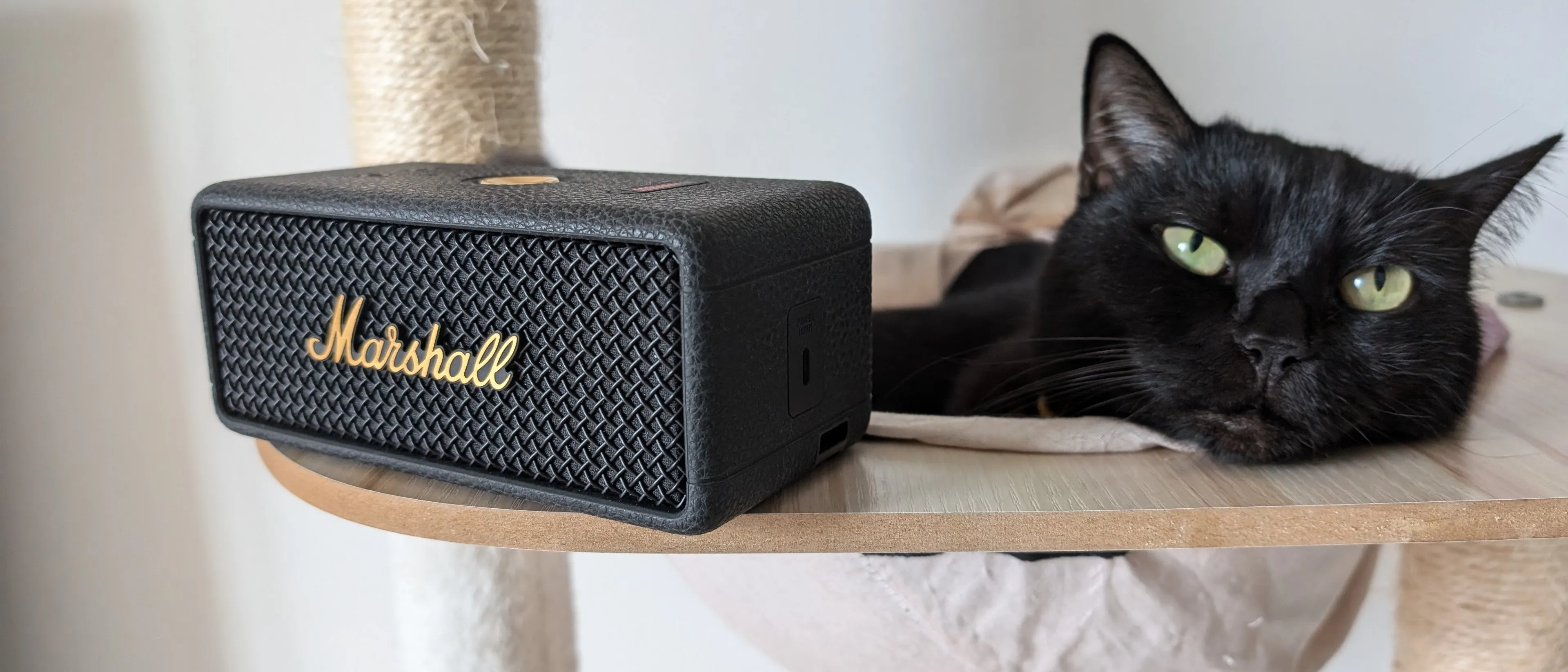 Loa Marshall Emberton nghe nhạc du lịch hay